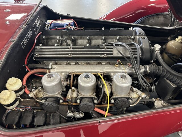 Jaguar Andere