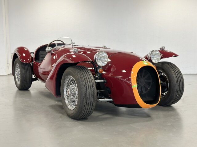 Jaguar Andere