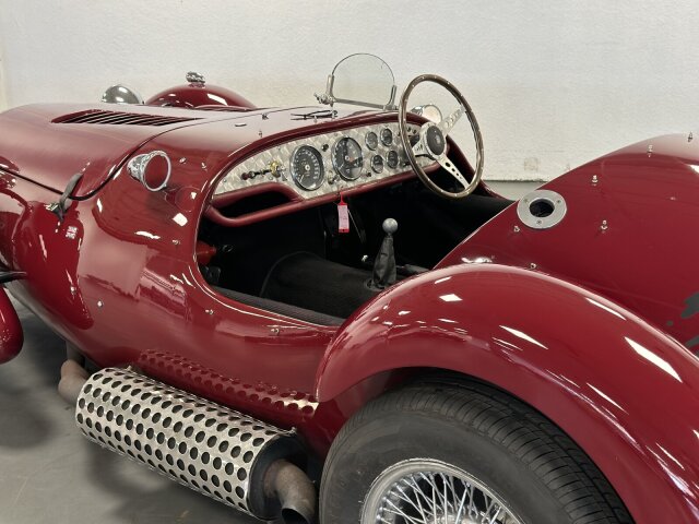 Jaguar Andere