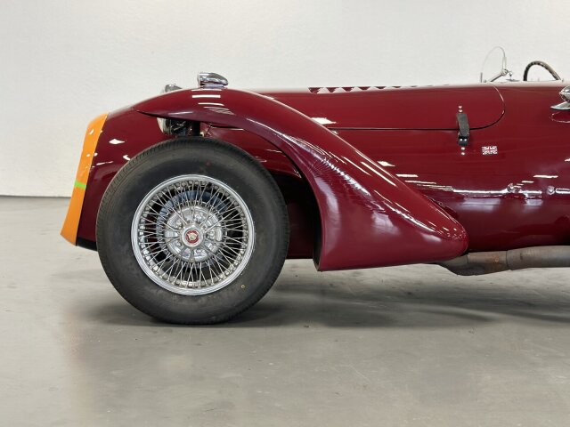 Jaguar Andere