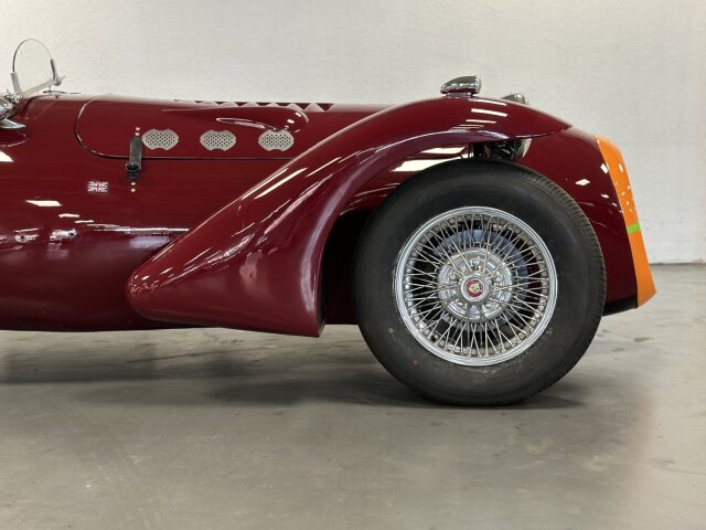 Jaguar Andere