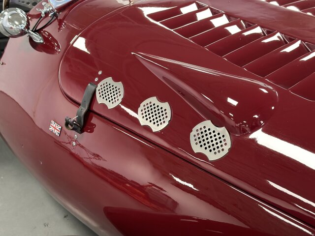 Jaguar Andere