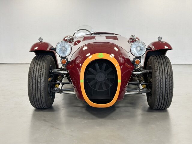 Jaguar Andere