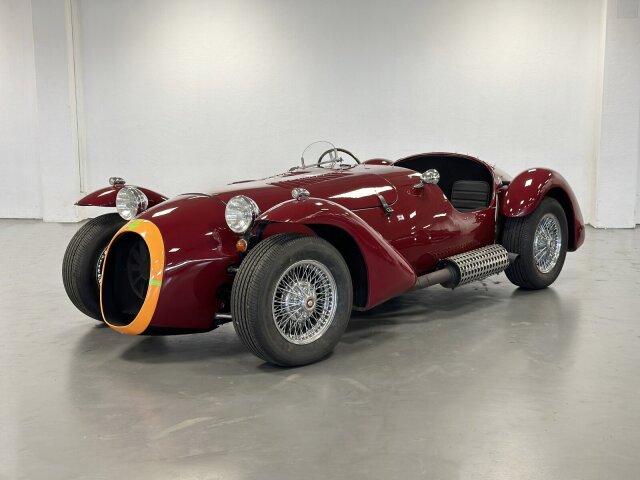 Jaguar Andere