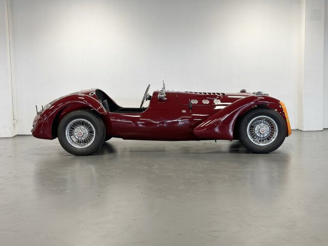 Jaguar Andere