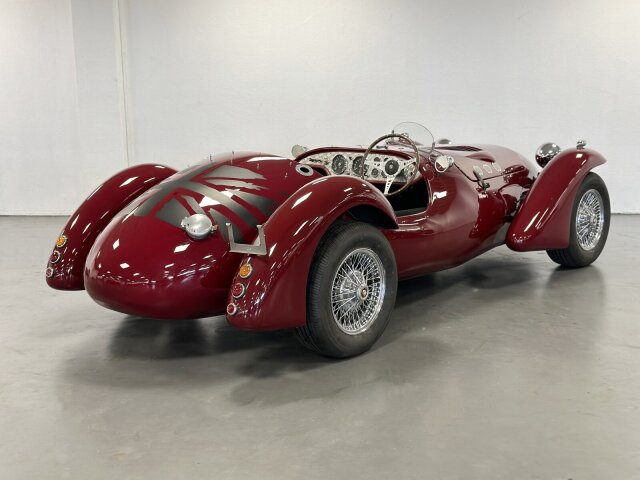 Jaguar Andere