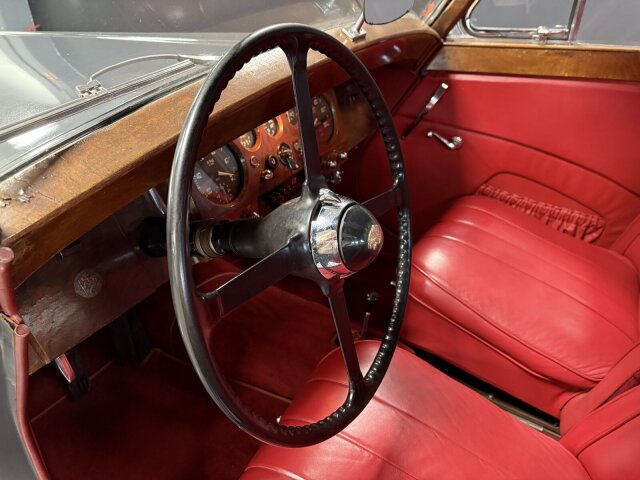Jaguar Andere
