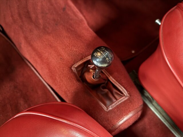 Jaguar Andere