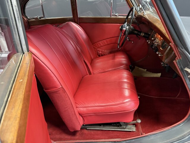 Jaguar Andere