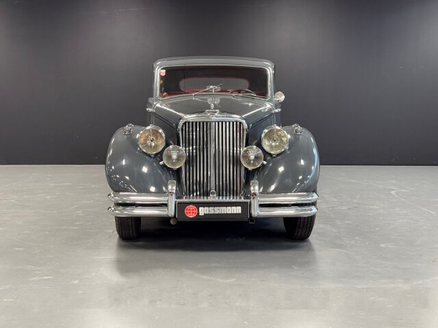Jaguar Andere