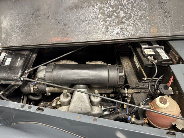 Jaguar Andere