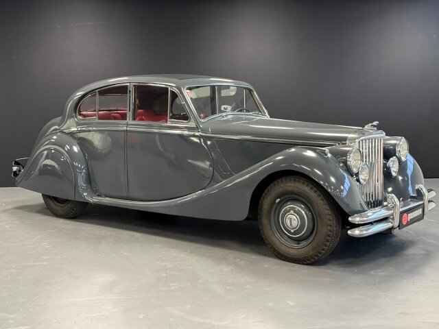 Jaguar Andere