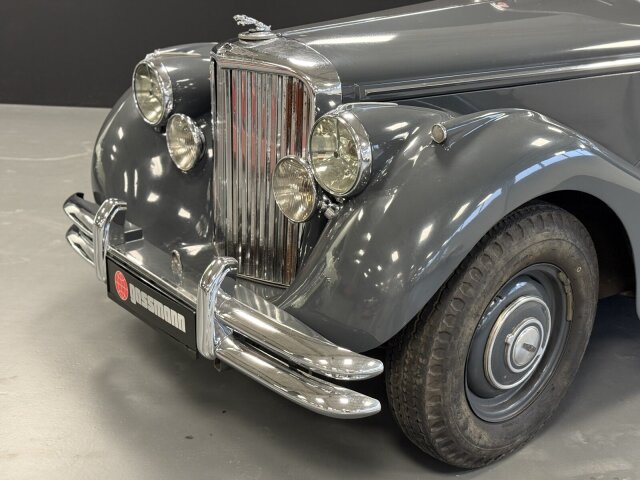 Jaguar Andere