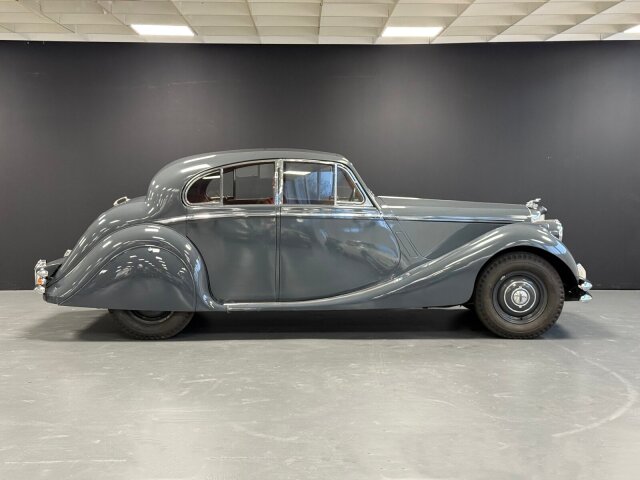 Jaguar Andere