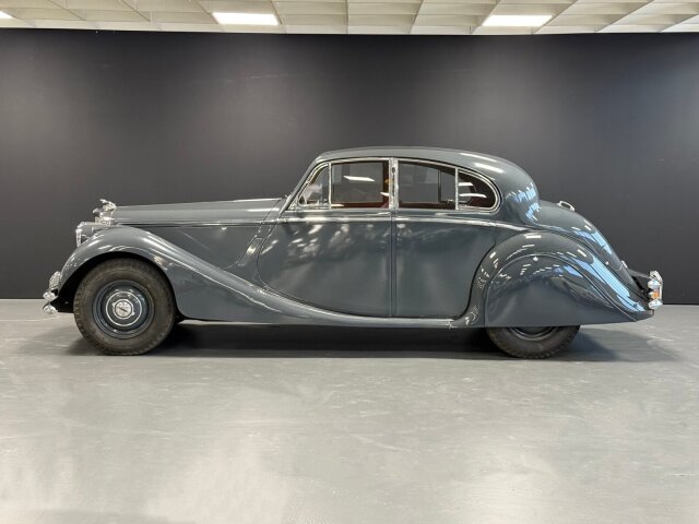 Jaguar Andere