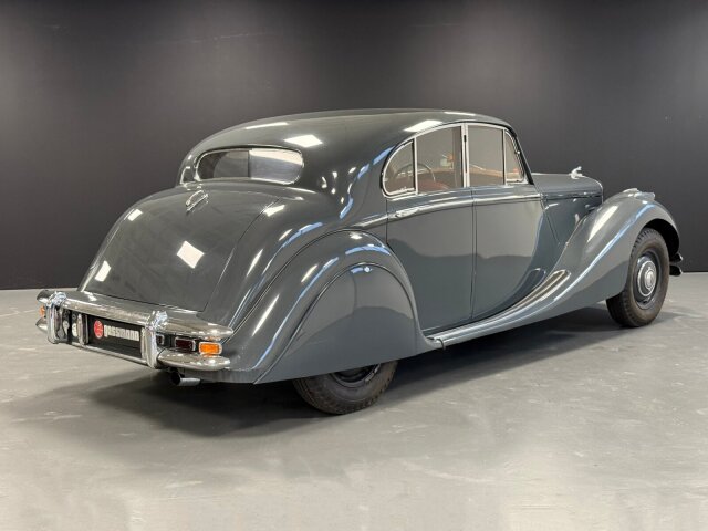 Jaguar Andere