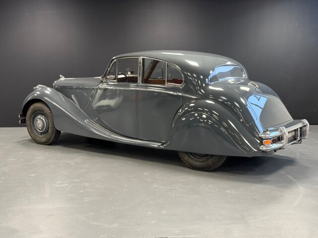 Jaguar Andere