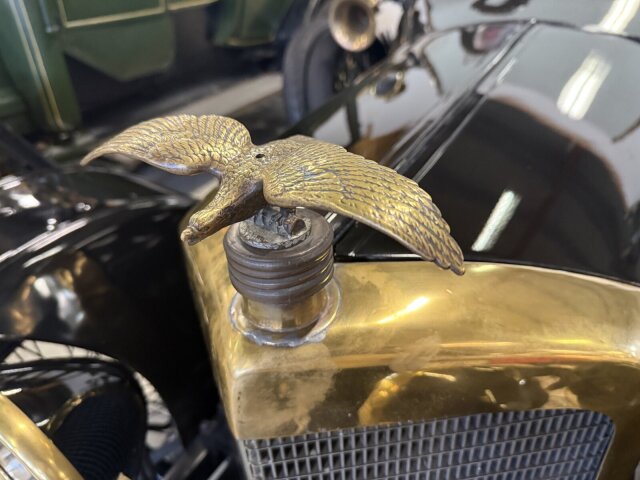 Adler Andere