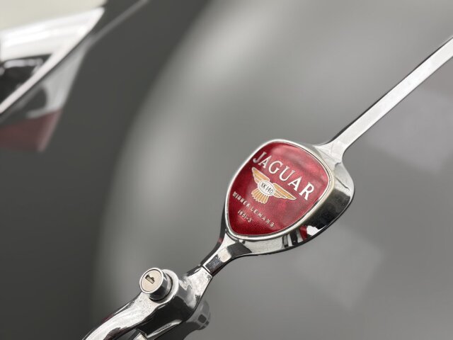 Jaguar XK