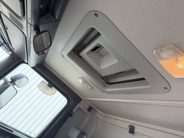 Scania P