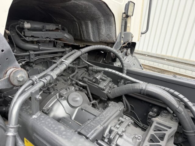Scania P