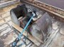 KinshoferKM 604HPX-250c